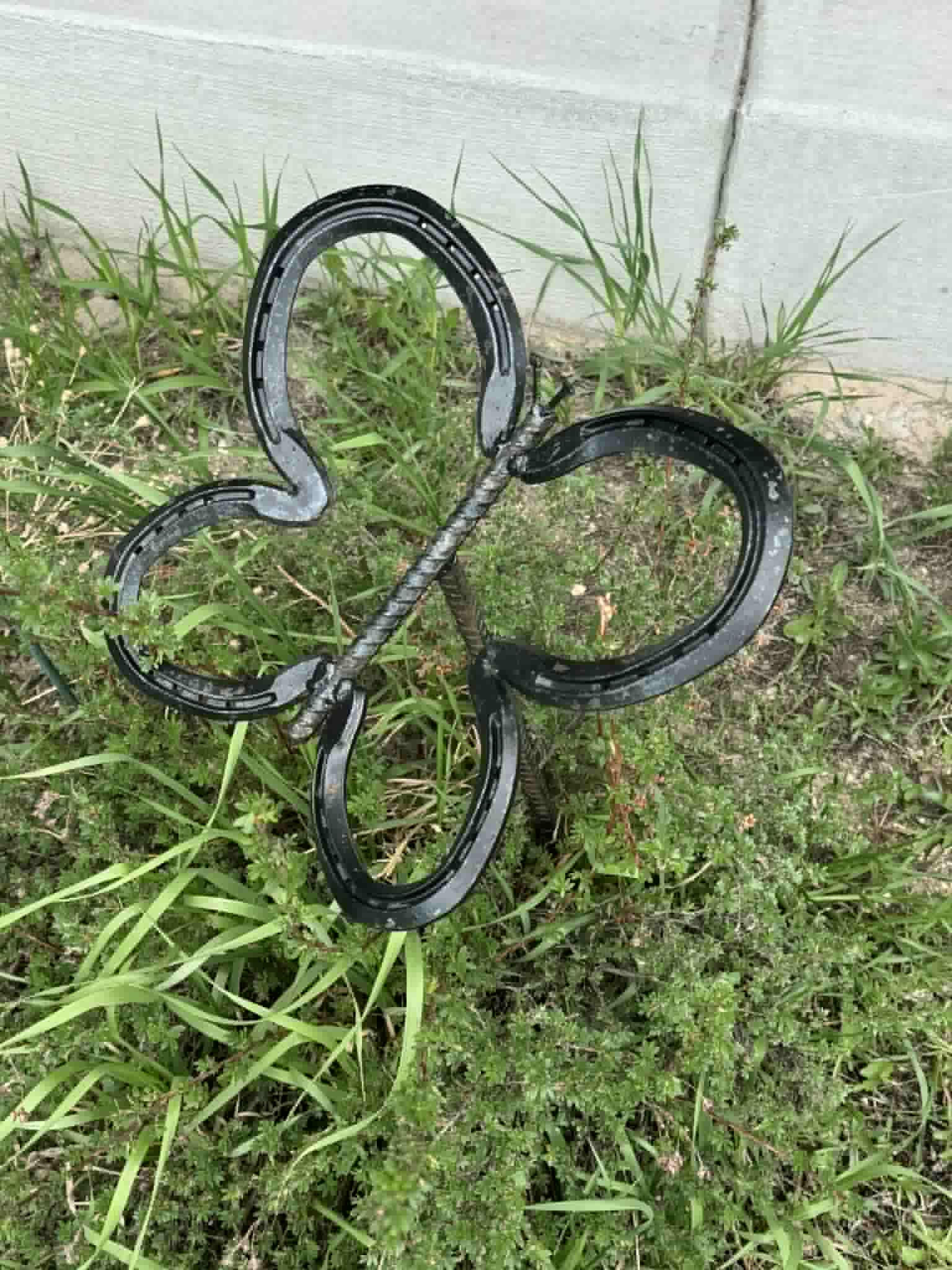 Horseshoe Butterfly