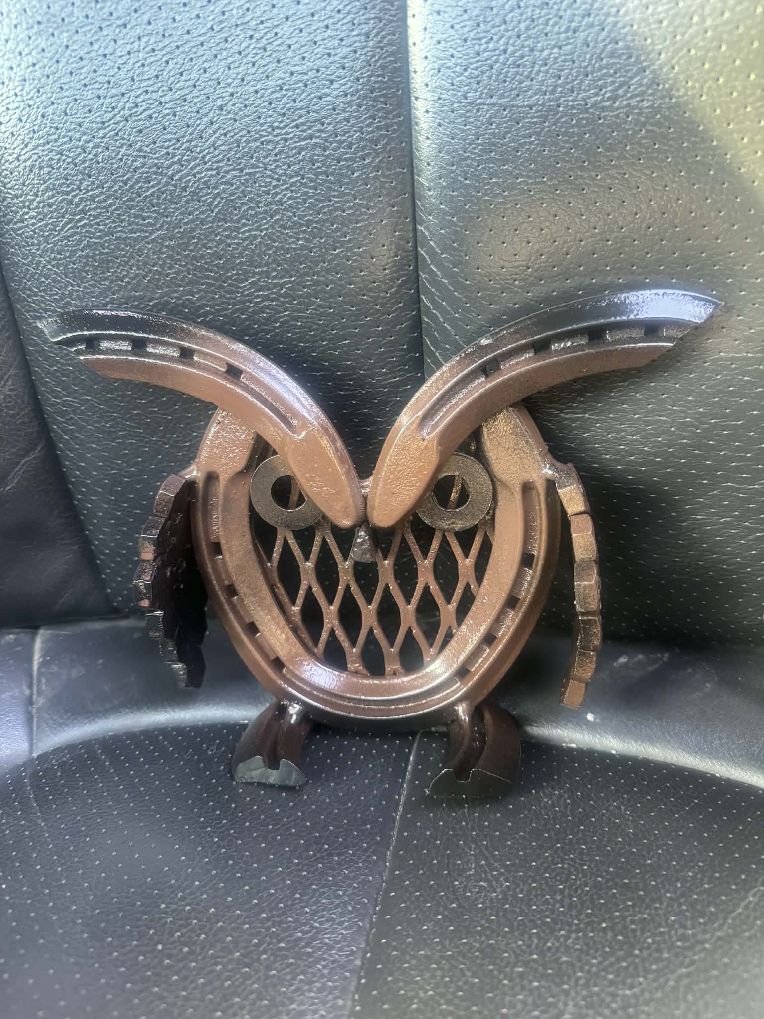Horseshoe Owl